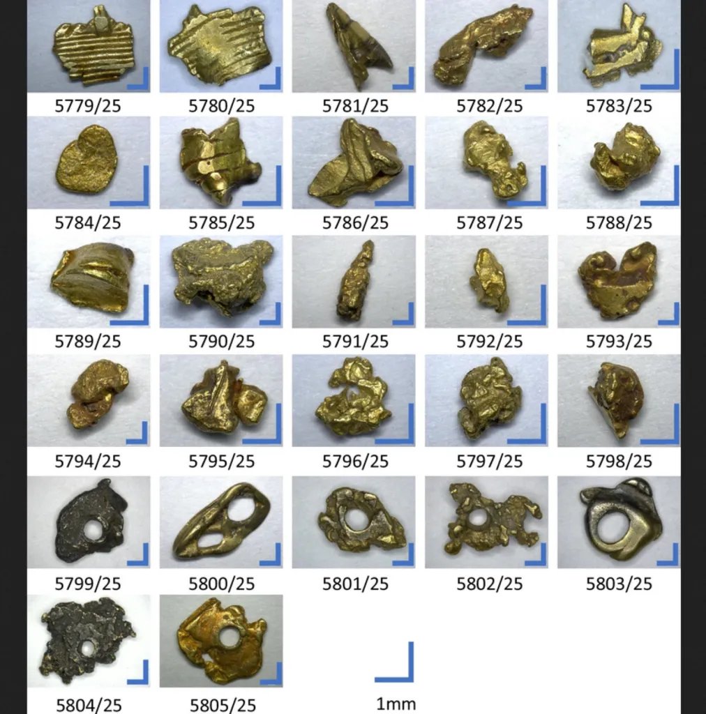 Oro pirata