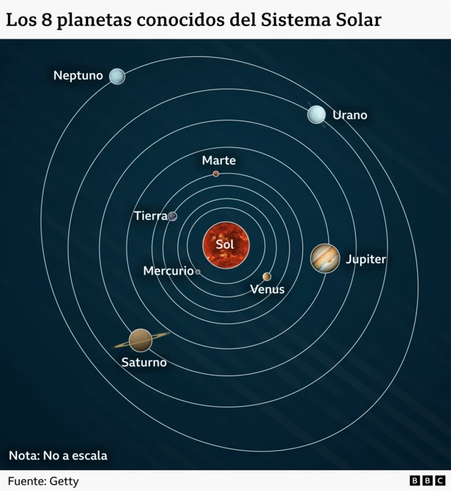 Un gráfico que muestra las órbitas de los ocho planetas conocidos alrededor del Sol: Mercurio, Venus, la Tierra, Marte, Júpiter, Saturno, Urano y Neptuno.