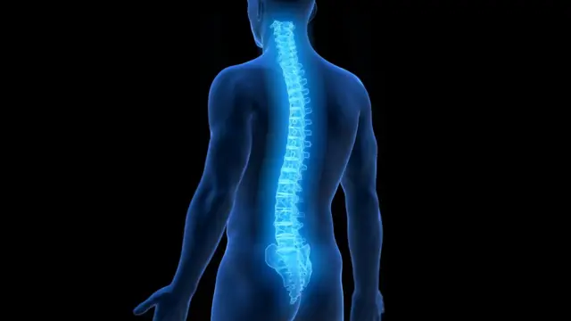 Imagen sobre fondo negro de cuerpo humano azul transparente con la columna vertebral iluminada