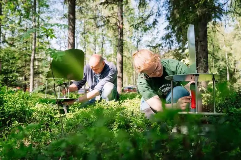 écnicos recolectando esporas de hongos directamente del aire en el centro de Finlandia. Este tipo de muestreo permite capturar el 