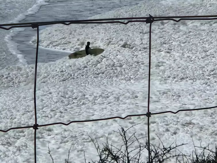Un surfista se adentra en las aguas espumosas afectadas por la floración de algas.