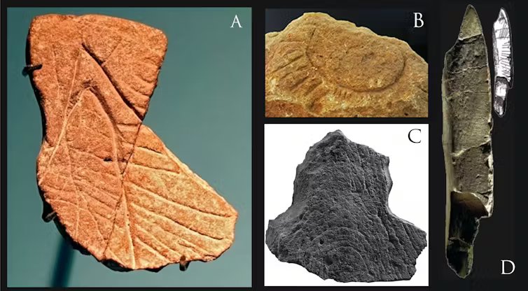 Objetos de hueso y piedra con incisiones que siguen patrones (paralelismo, homogeneidad y equidistancia) creados, probablemente, por especies distintas a _Homo sapiens_ en Europa. Podrían representar un sistema numérico básico relacionado con la observaci