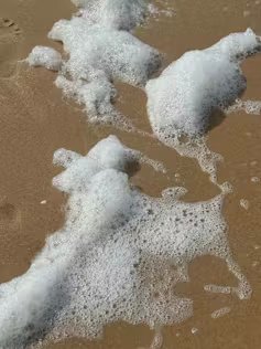 Espuma de mar blanca sobre la arena