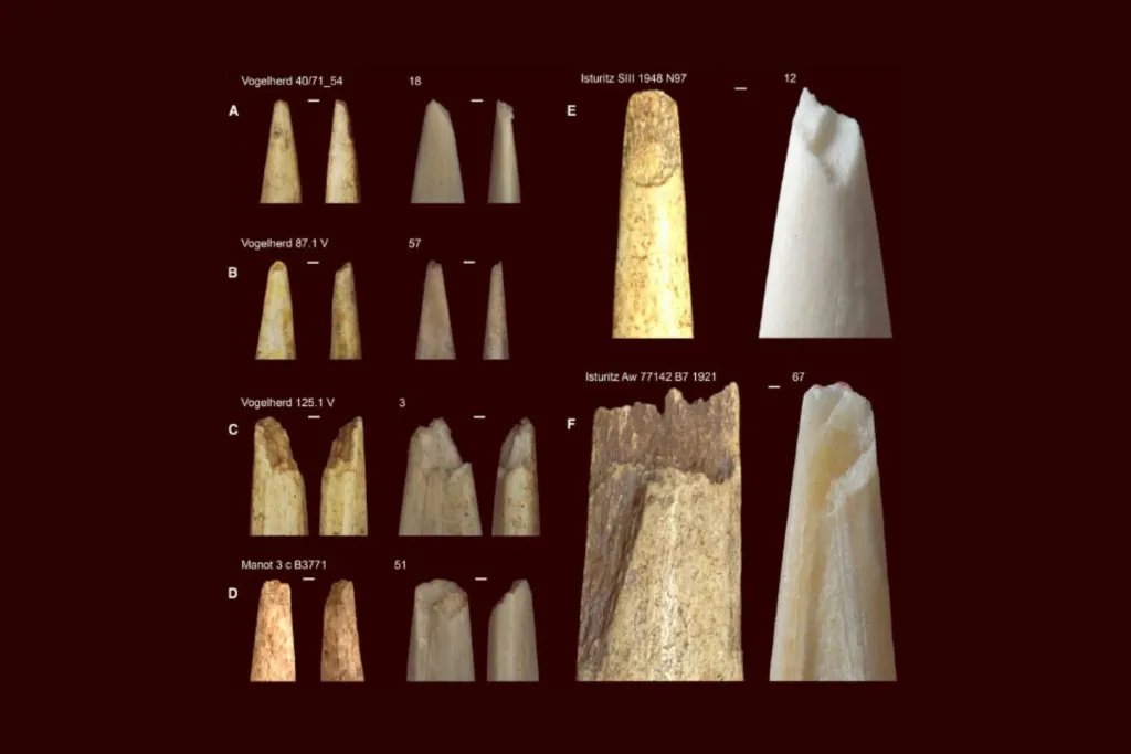 Ejemplos arqueológicos procedentes de yacimientos auriñacienses de Vogelherd (Alemania), Isturitz (Francia) y Manot (Israel), comparados con piezas experimentales