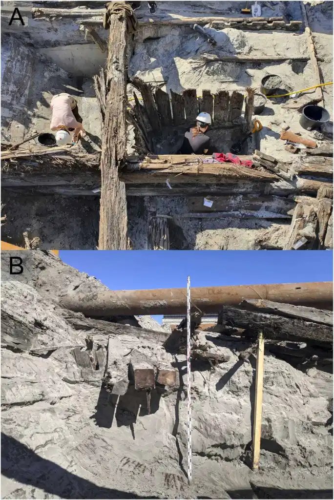 Excavación del Lootsie 8