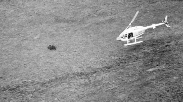 Un helicóptero divisa a Hércules desde el aire. 