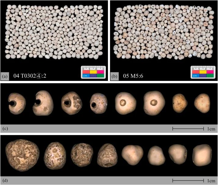 Perlas prehistóricas en China