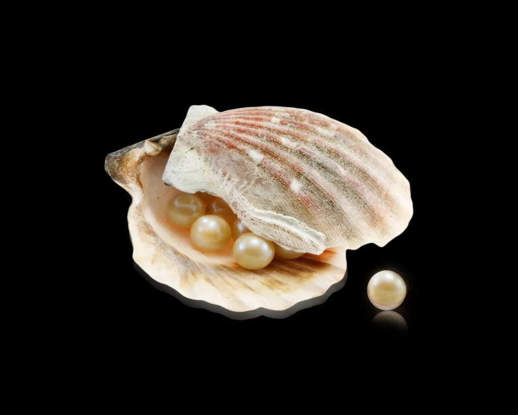 Perlas