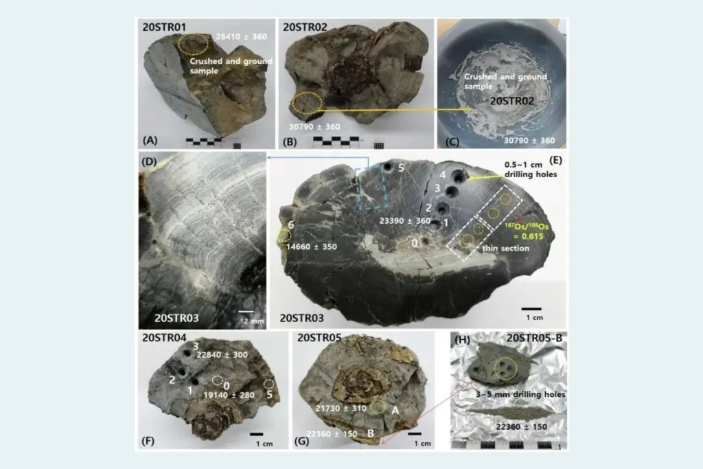 Estromatolitos hallados en el yacimiento STR del cráter de impacto de Hapcheon, en la cuenca coreana de Jeokjung–Chogye, junto a las dataciones representativas obtenidas mediante radiocarbono