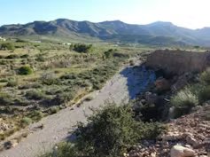 Rambla de La Azohía (Murcia. España).