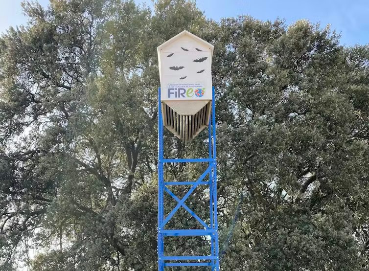 Refugio para murciélagos instalado sobre una estructura alta azul con copas de encinas detrás