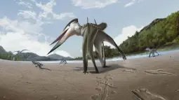 Científicos hallan pistas de hace 106 millones de años que explican cómo cazaban los reptiles voladores