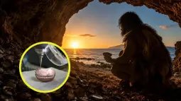 Una reconstrucción artística muestra cómo grupos neandertales de la costa mediterránea podrían haber organizado la recolección de moluscos hace unos 115.000 años, siguiendo patrones estacionales sorprendentemente complejos