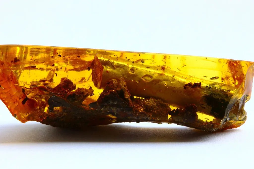 Ámbar del Báltico