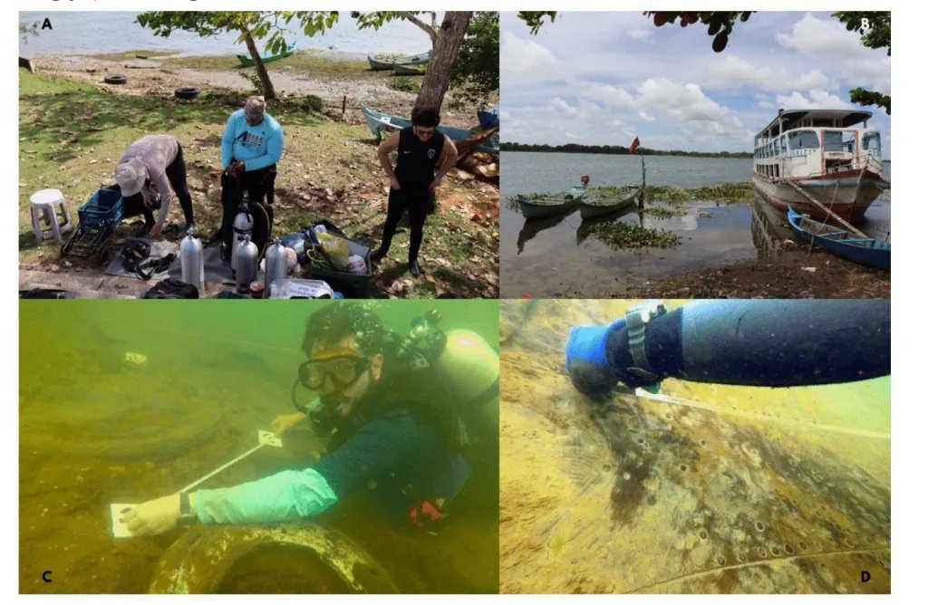Arqueología subacuática en Neápolis