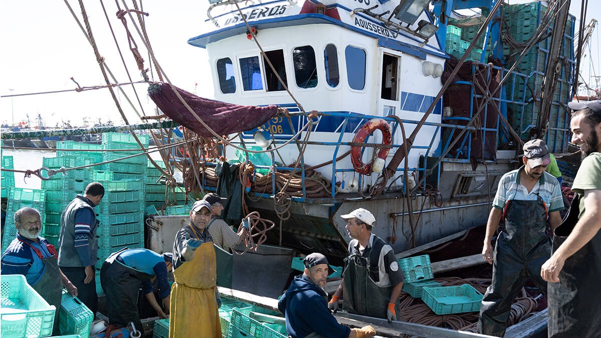 Pescadores en las instalaciones del puerto pesquero de Dajla, Marruecos - ATALAYAR/ GUILLERMO LÓPEZ