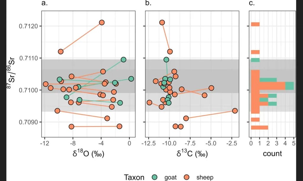 Valores de 87Sr/86Sr de las cabras (en verde) y las ovejas (en naranja) comparados con los valores de δ18O y δ13C