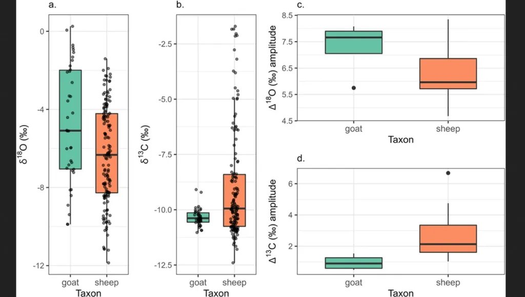 Datos isotópicos del oxígeno y el carbono