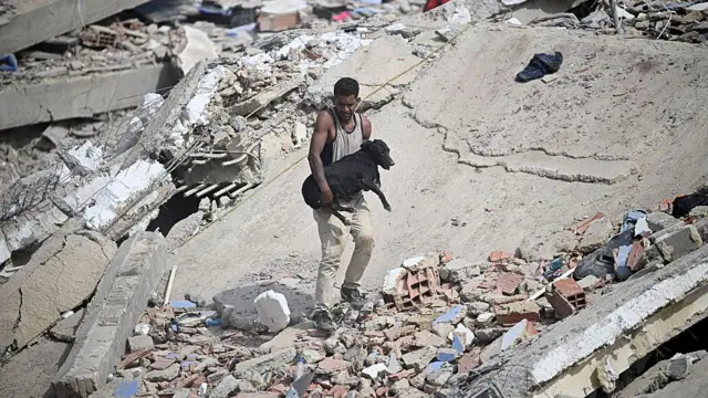 Un voluntario carga a un perro rescatado entre los escombros de un edificio colapsado tras dos terremotos consecutivos en Caraballeda, estado de La Guaira, a unos 40 km al noreste de Caracas, el 25 de junio de 2026.