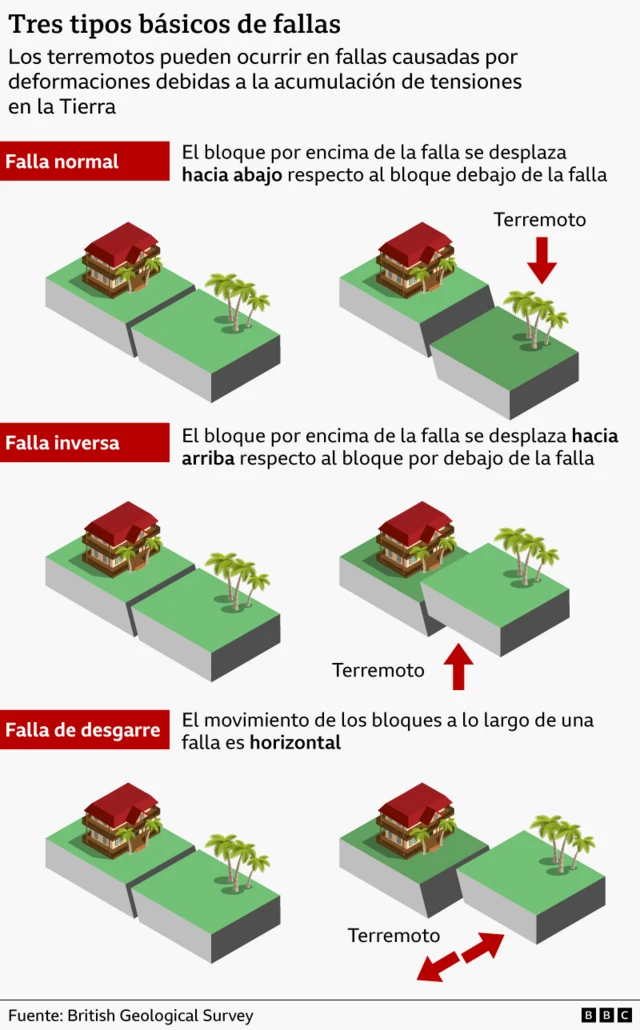 Infografía de las causas del terremoto. 