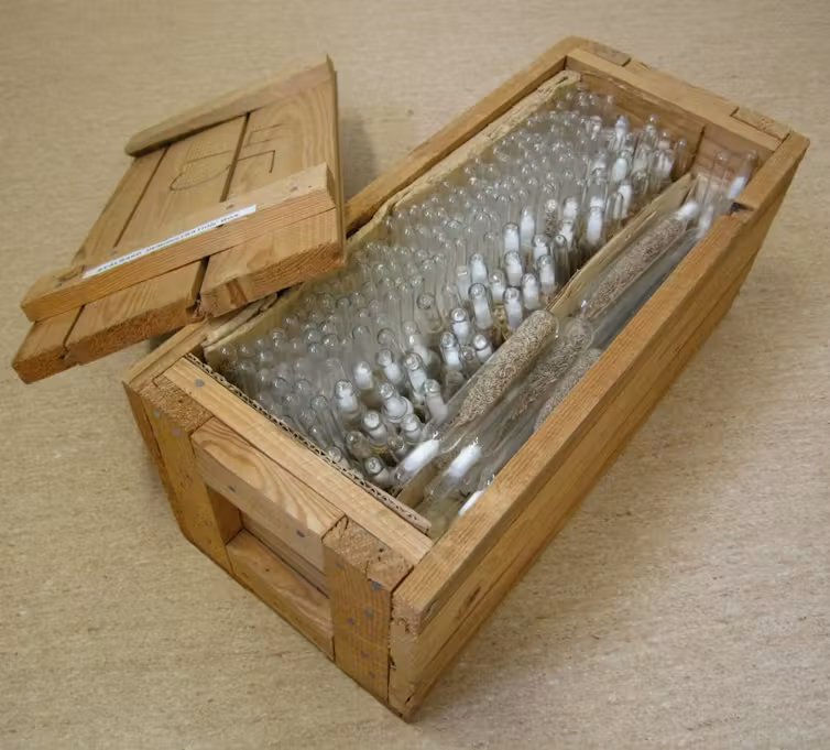 Caja de semillas del Banco Nórdico de Genes (NGB) para almacenamiento seguro en Svalbard