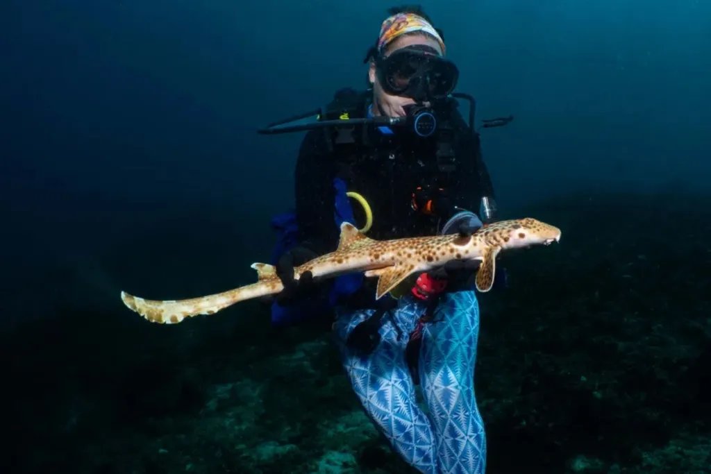 La nueva especie ha sido bautizada en honor a la ecóloga Christine Dudgeon, una de las investigadoras que participó en el estudio