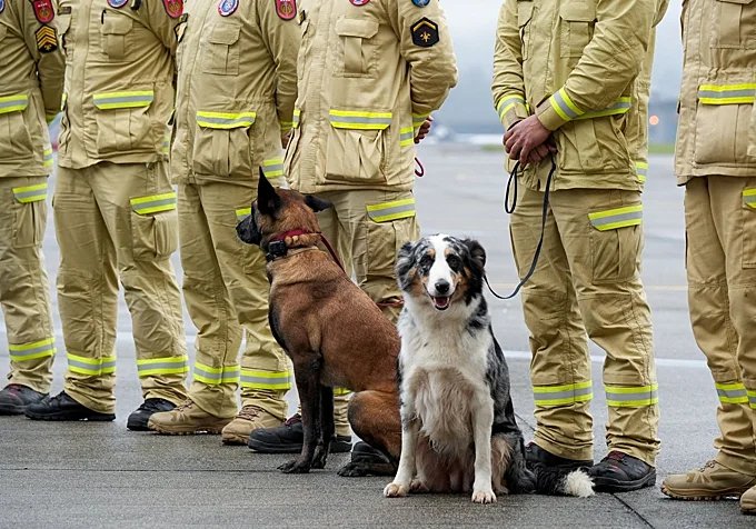 Equipos de rescate de Brasil con sus perros adiestrados