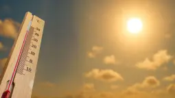 La ciencia advierte más allá de las olas de calor, la exposición constante al calor crónico es una amenaza creciente