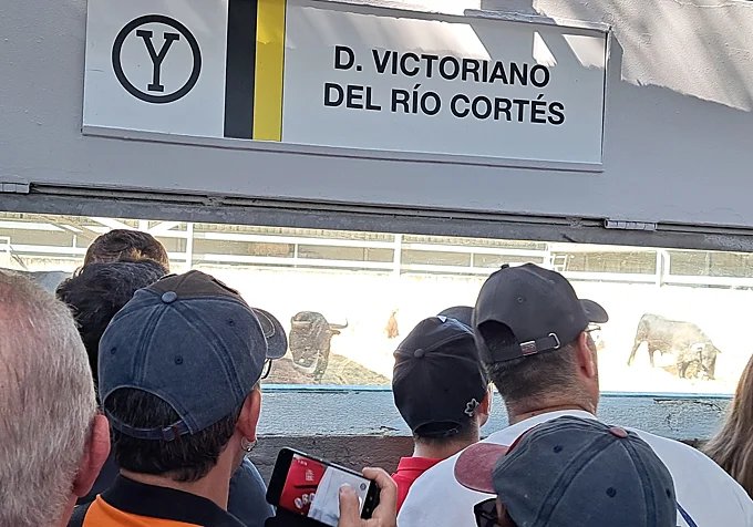 Curiosos y aficionados observan la corrida de Victoriano del Río