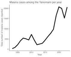 El gráfico muestra el número de casos de malaria al año en el territorio yanomami, con un aumento muy significativo de los casos a partir de 2015.