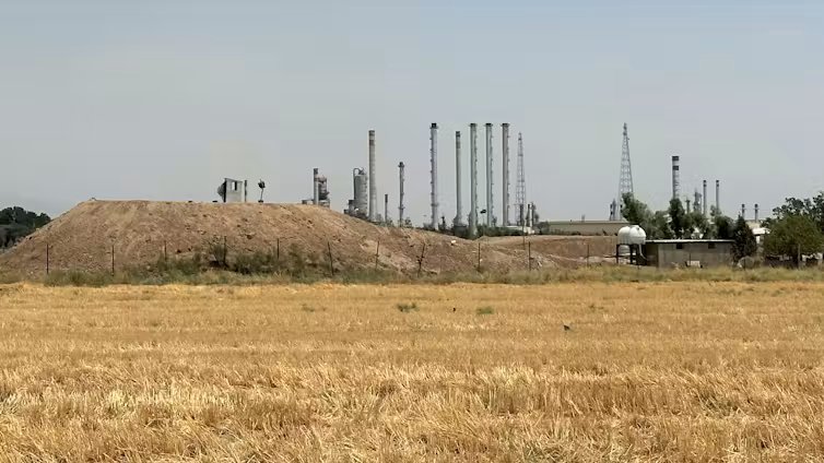 Un campo amarillo y una refinería de petróleo al fondo