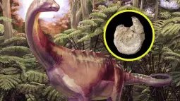 Recreación artística del titanosaurio que habitó la Antártida durante el Cretácico