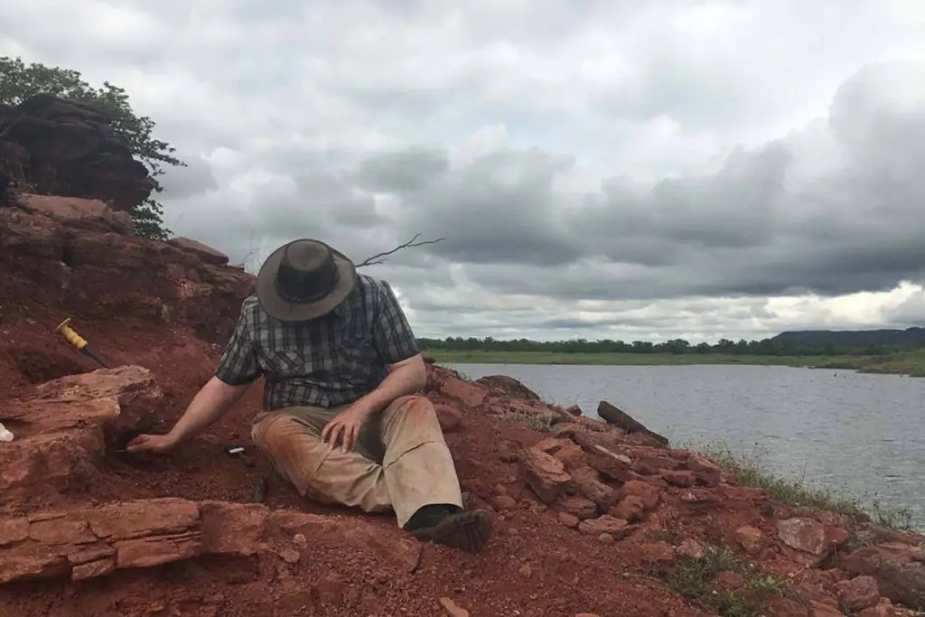 Los huesos de Musango comenzaron a aflorar entre las rocas de los alrededores del lago Kariba