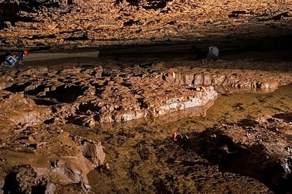 Con apenas cinco centímetros de longitud, este pez sin ojos solo se ha encontrado en un único sistema de cuevas