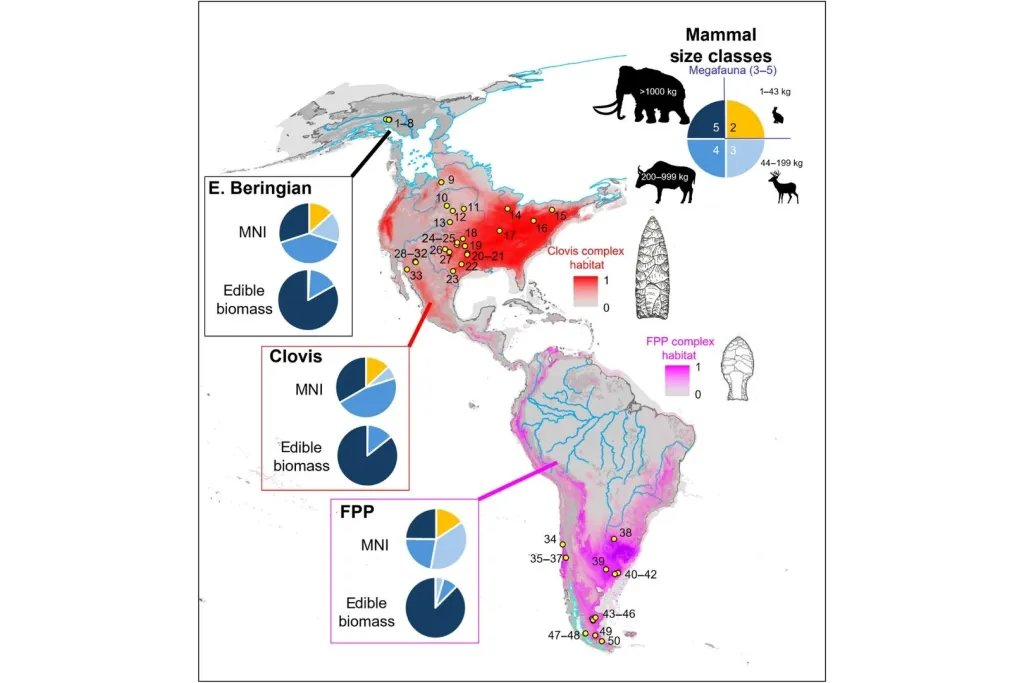 Distribución de los yacimientos arqueológicos analizados en Beringia, Norteamérica y Sudamérica, comparada con las áreas ocupadas por las culturas Clovis y Fishtail