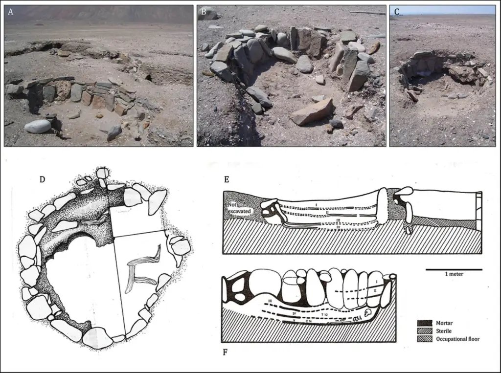 Estructuras en Caleta Huelén 42
