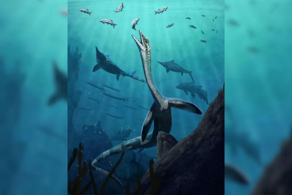 Reconstrucción artística de Austronaga minuta, un reptil marino de largo cuello que vivió hace 245 millones de años