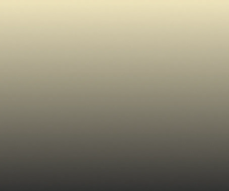 spot_img