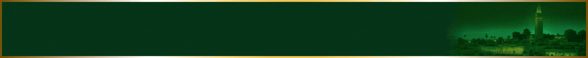 spot_img