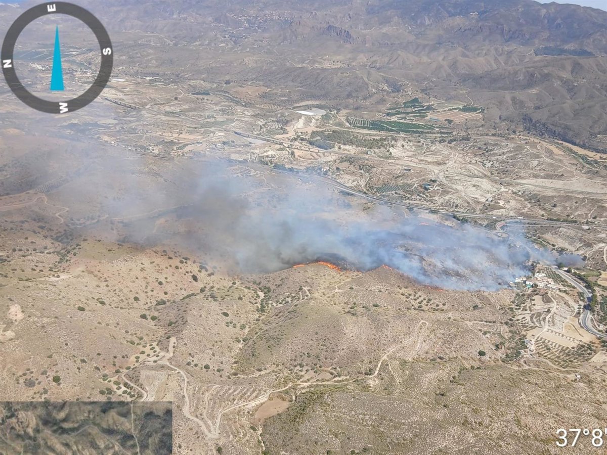 Aumentan a doce los fallecidos en el incendio forestal de Los Gallardos (Almería)