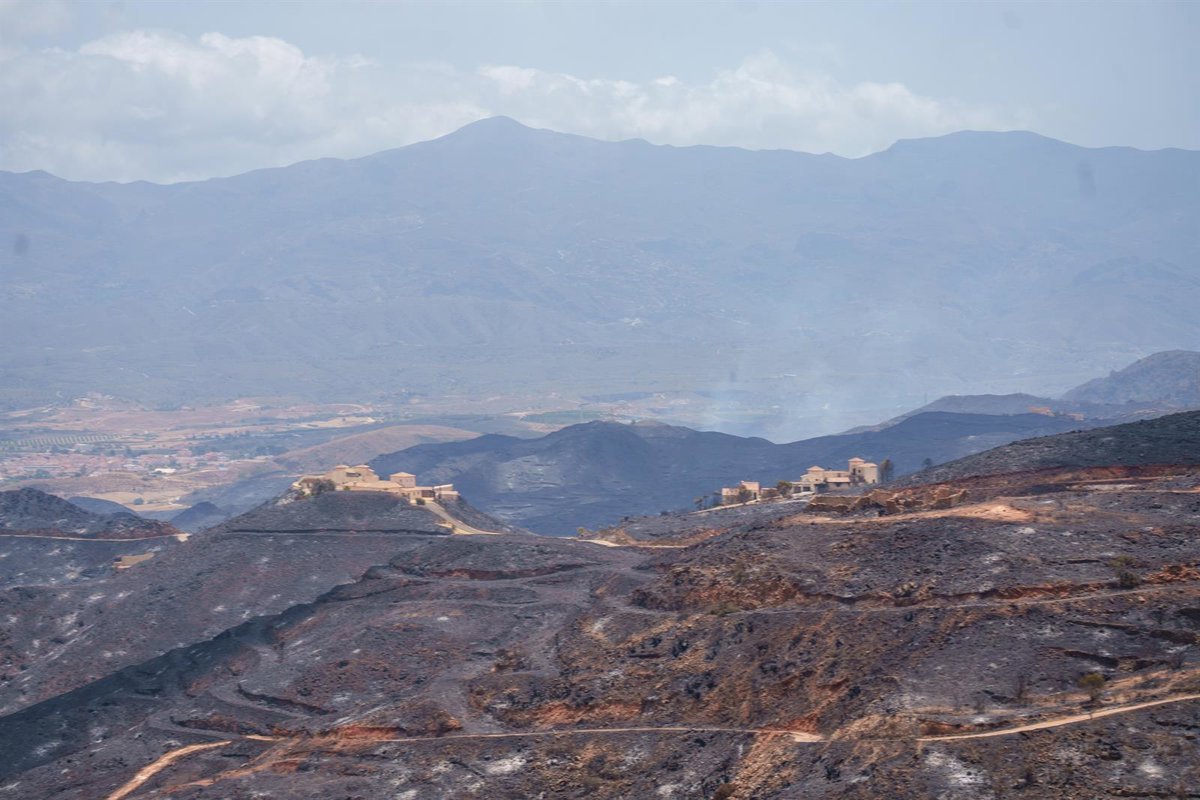 El incendio de Los Gallardos (Almería) se estanca y da una "perspectiva favorable" para su estabilización