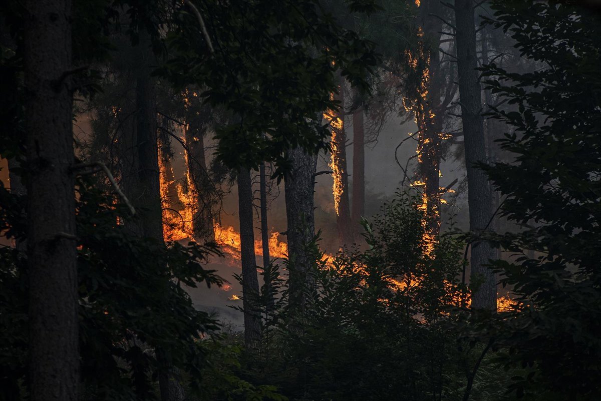 Más de 100.000 afectados, miles de hectáreas quemadas y vías cortadas por el fuego en Madrid, Ávila, Castellón y Toledo
