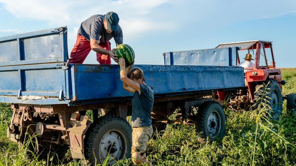 Newsletter ‘Comer’ | ¿Quién se queda el dinero de los alimentos?