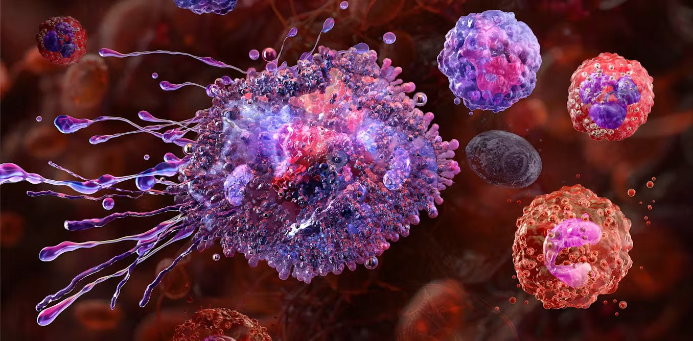 STING protein: our study found new ways for the body to activate – and possibly control – inflammation