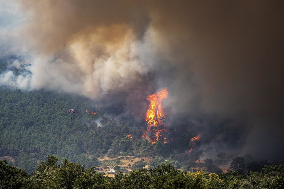 Unas 88.000 personas evacuadas y confinadas por los incendios en Madrid y Ávila