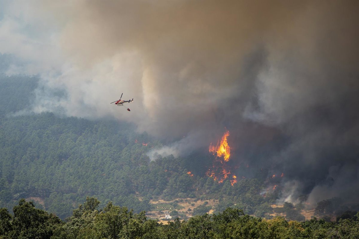 Varios fuegos activos arrasan decenas de miles de hectáreas en España: Los de la C.Madrid y Ávila, los que más preocupan